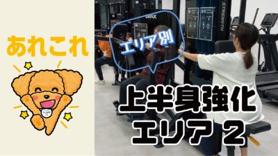 上半身強化エリア2