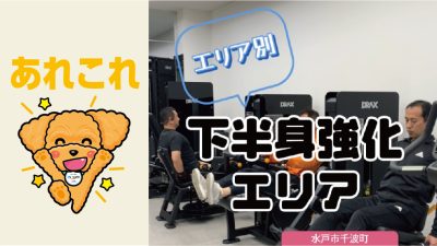 下半身強化エリア