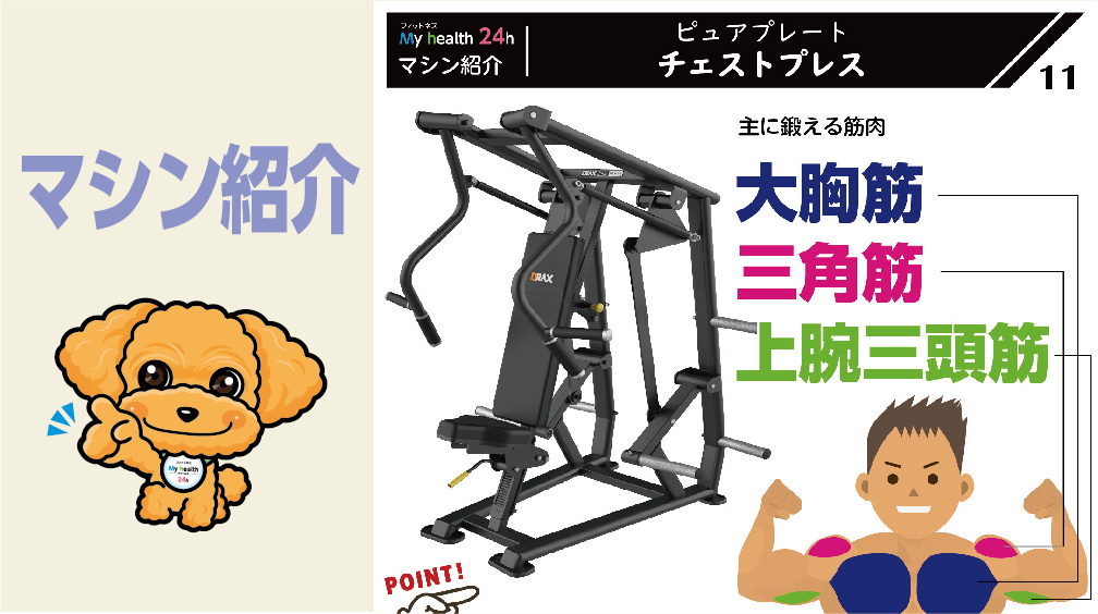 マシン紹介⑪ピュアプレートチェストプレス | 水戸のジム マイヘルス