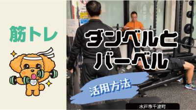 ダンベルとバーベル 活用方法