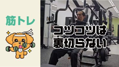 コツコツは裏切らない