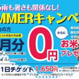 summerキャンペーン