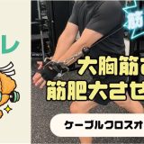 大胸筋を筋肥大させる
