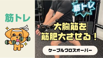 大胸筋を筋肥大させる