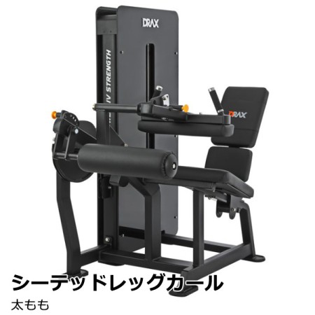 シーテッドレッグカール 太もも シーテッドレッグカール